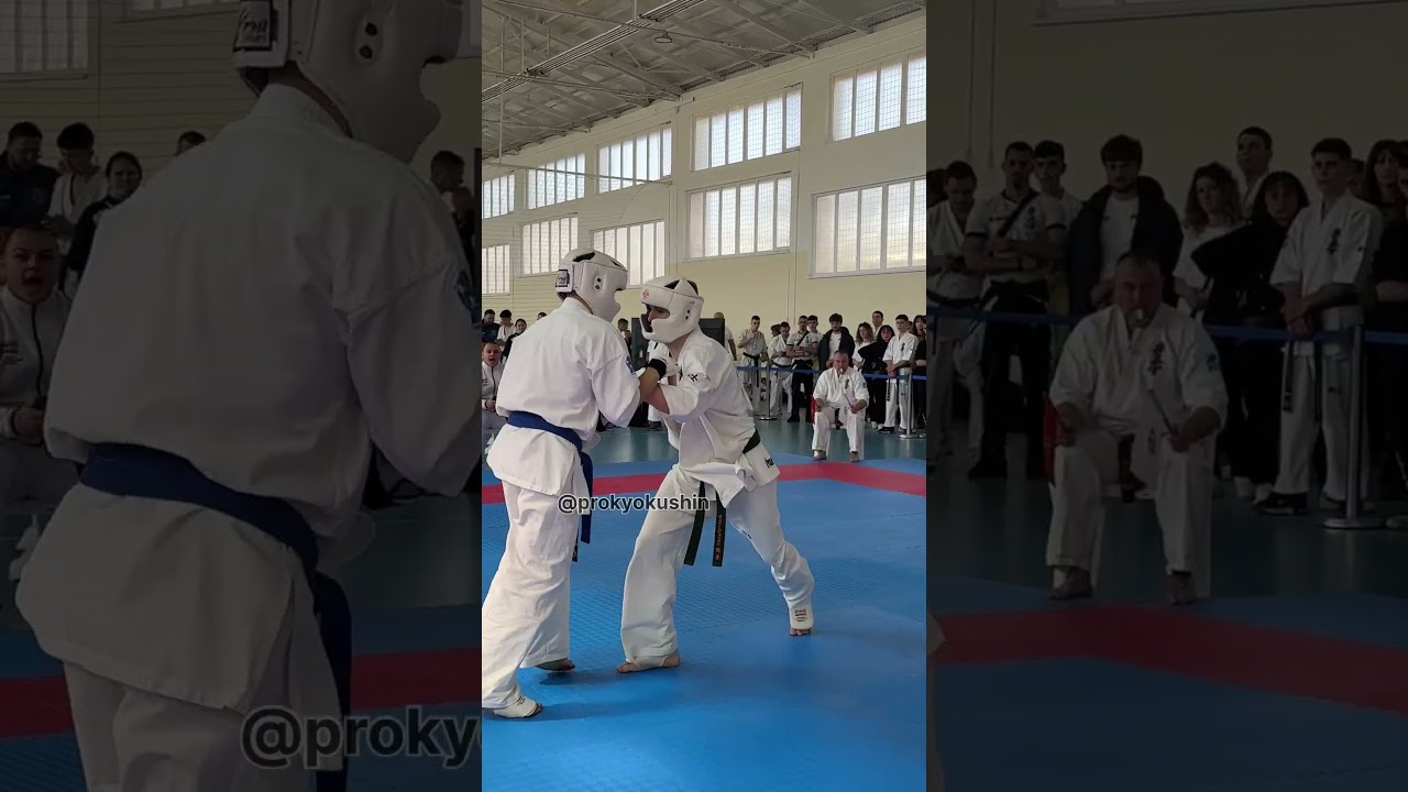 Seraphim Svetlozarov Kaschiev - KWU SENSHI Bulgarian #kyokushin #karate championship Shumen 14.03.26