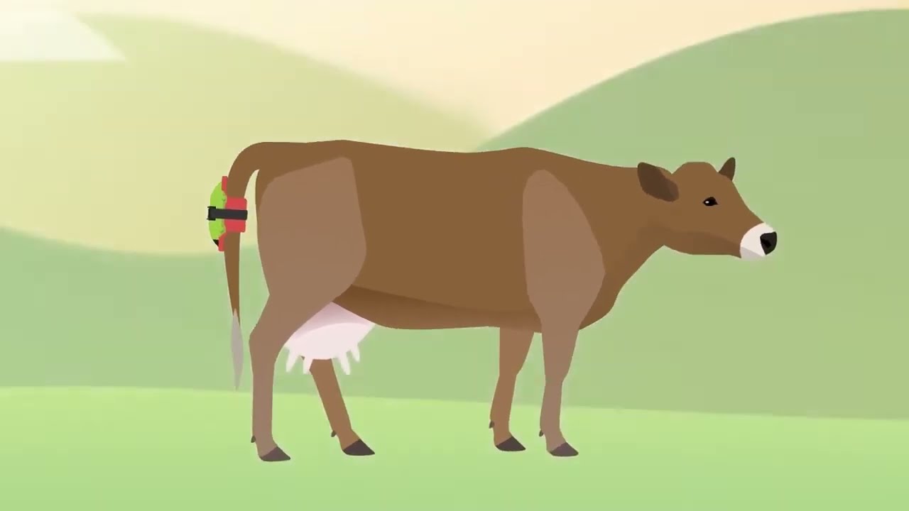 Moocall Calving Sensor
