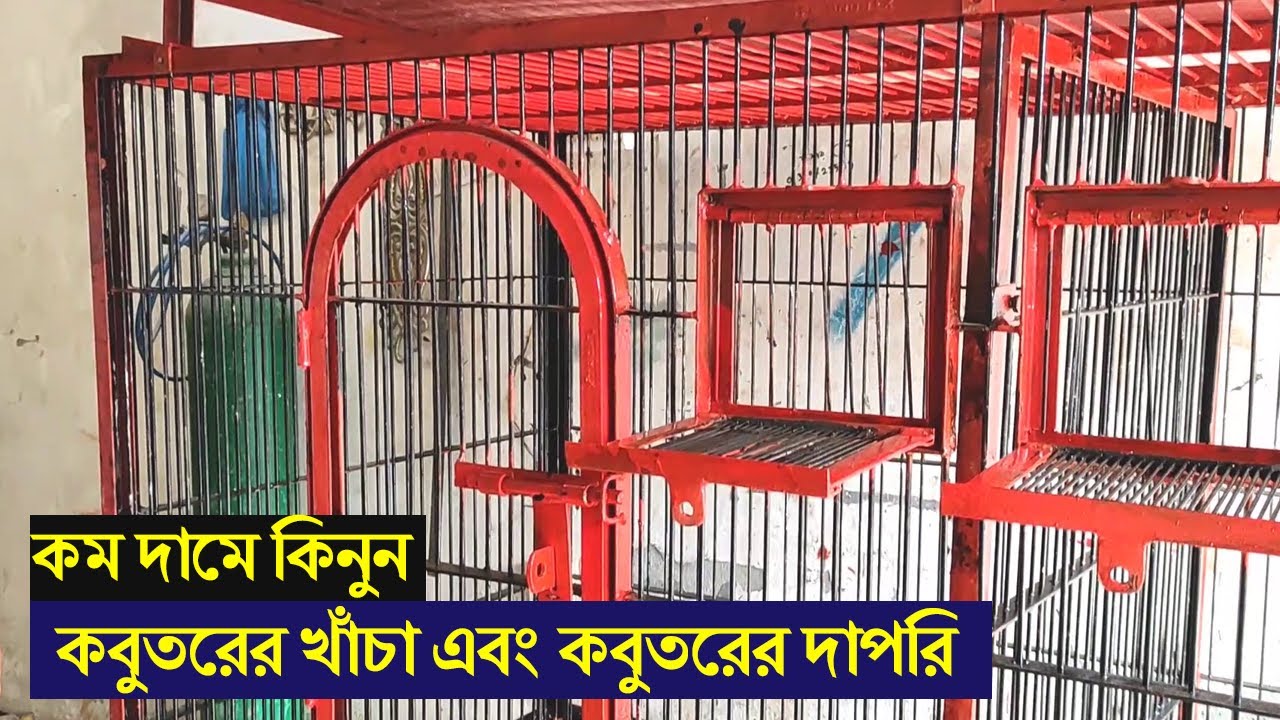 খুব কম খরচে কবুতরের খাঁচা এবং কবুতরের দাপরি কিনুন।