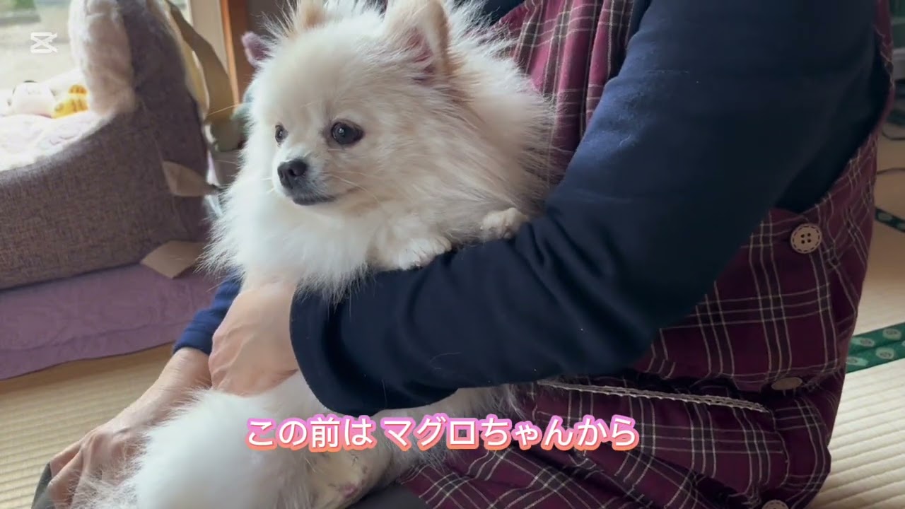 ららは人気者？！