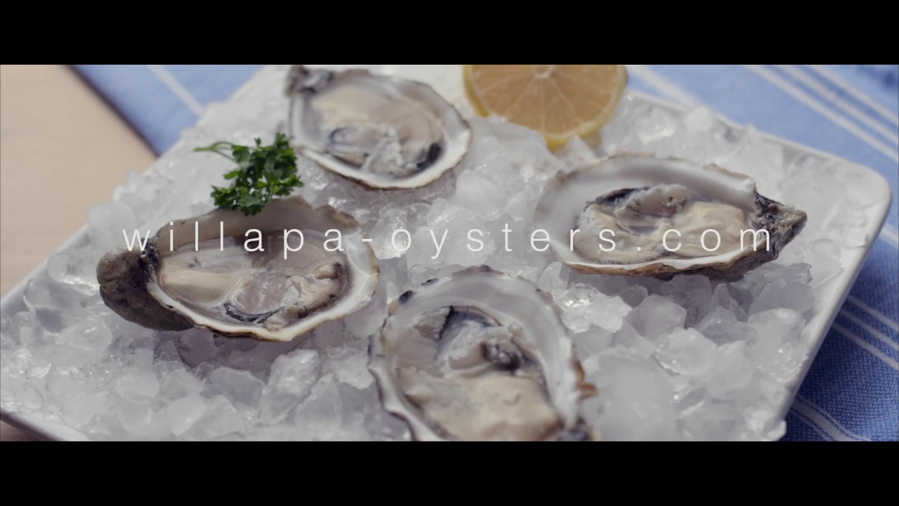 willapa-oysters.com - Willapa Artisan Kitchen