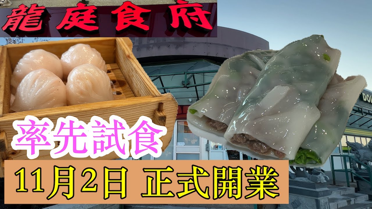 特價早茶 龍庭食府11月2日正式開張🎊 星期一至五11:00am前入單  大中小點一律$5.20 率先試食點心  Longing Fusion Cuisine #多倫多 #飲茶 #點心