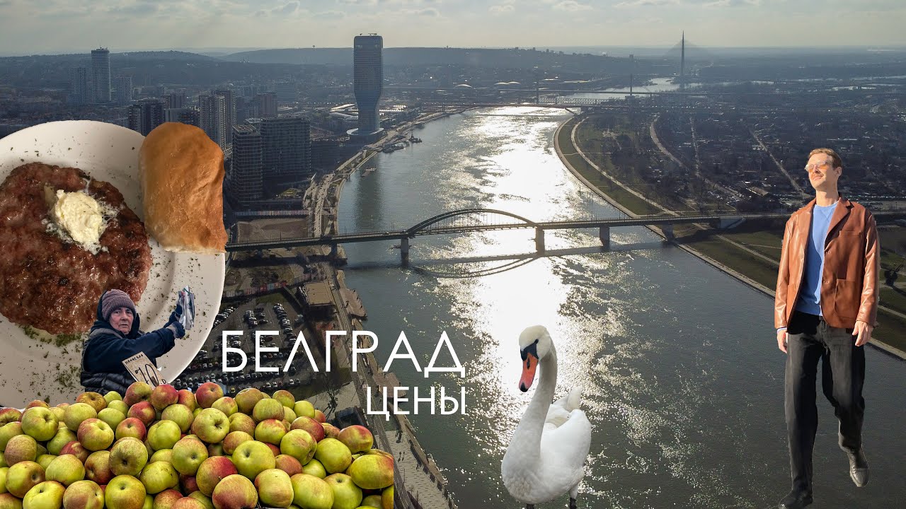 Цены на продукты в Сербии и аренда квартиры в Белграде