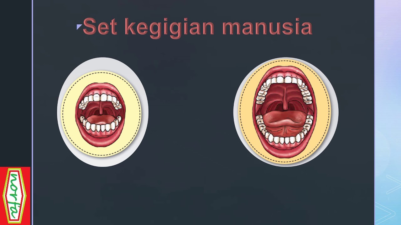 Kegigian Manusia