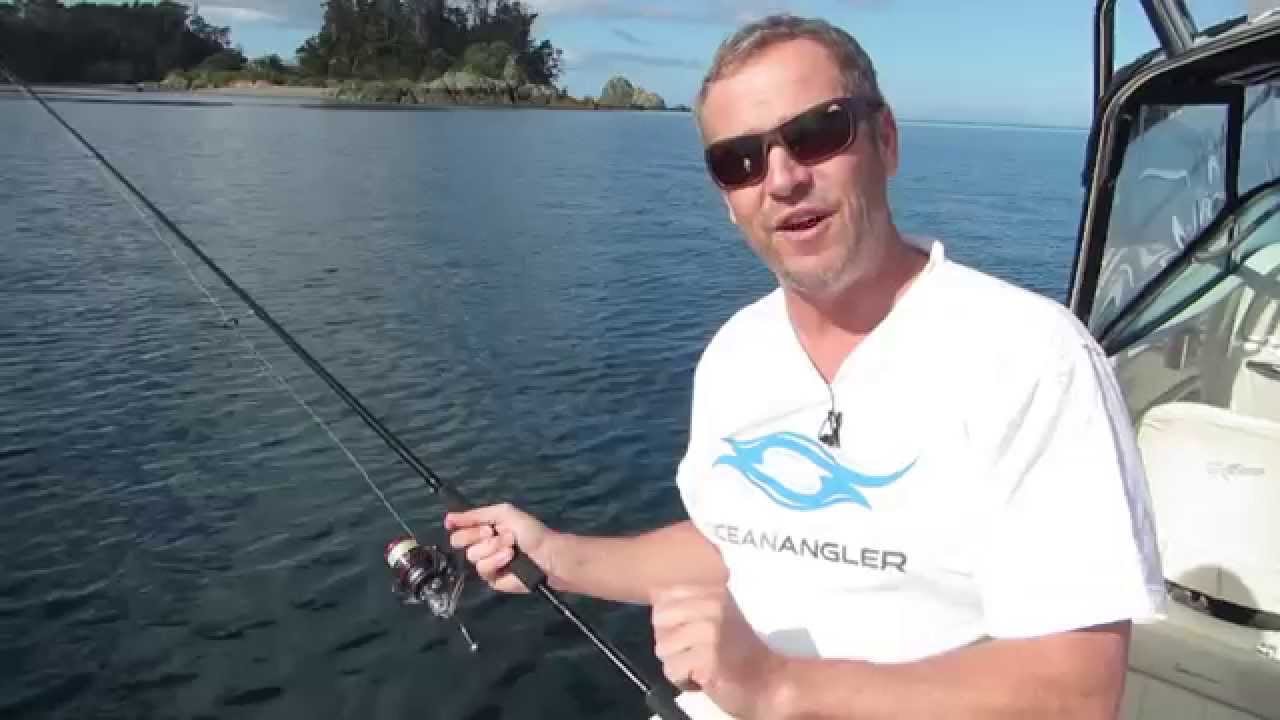 Ocean Anglers Microwave Soft Bait rod explained