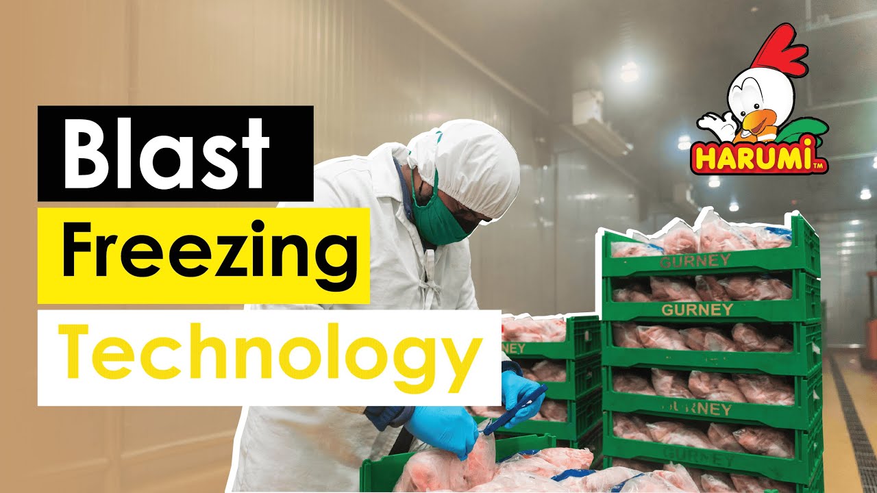 HARUMi Blast Freezing Technology