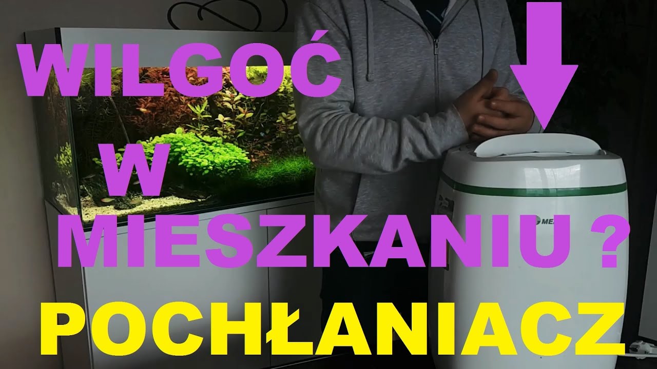Sposób na wilgoć w mieszkaniu osuszacz powietrza meaco. Czyli jak usunąć wilgoć i pleśń