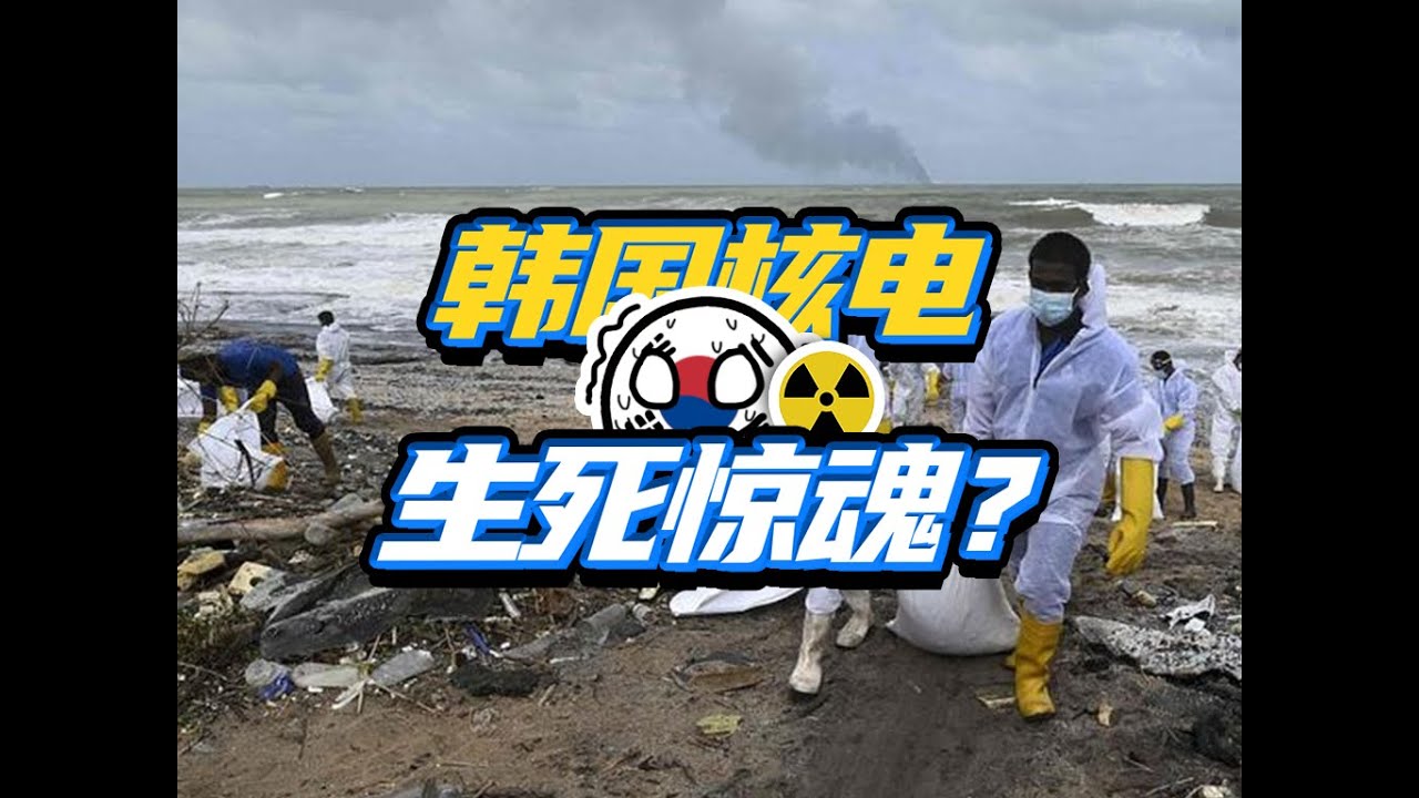 玩的就是心跳？韩国核电是咋搞成现在这一地鸡毛的？