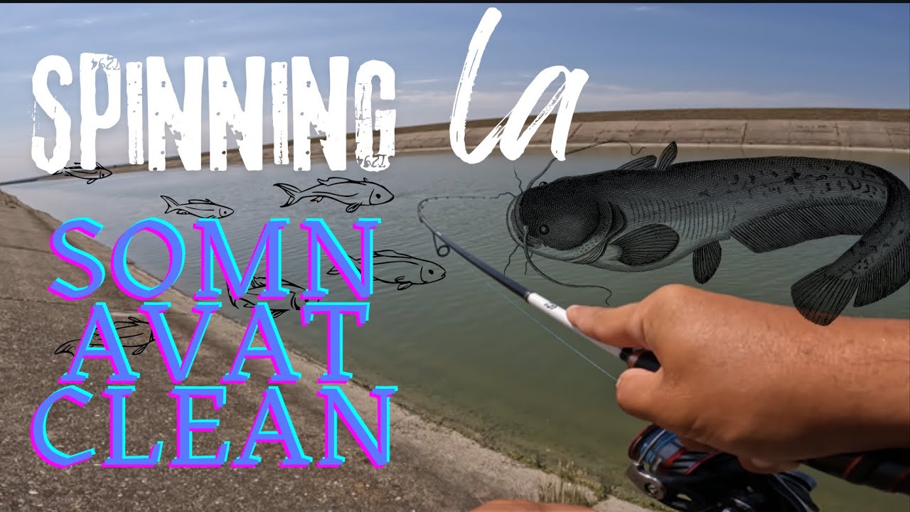 Pescuit la spinning Somn,Avat si Clean🎣🎣🔥🔥🔥