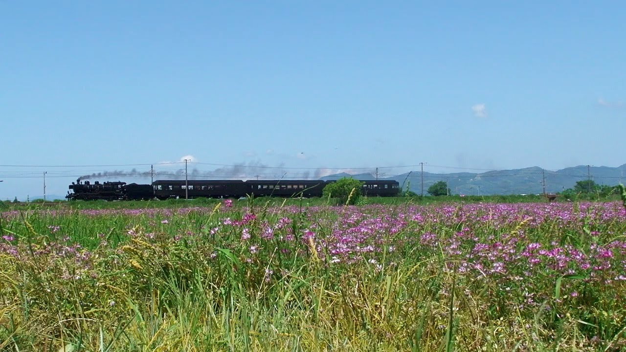 "SL Hitoyoshi" A Steam Train in the beautiful countryside