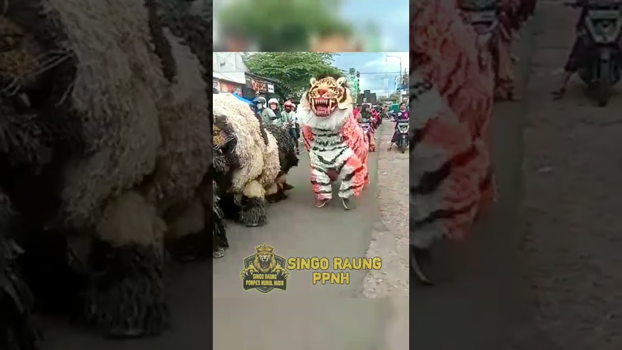 can macanan singo raung - drumband gita nada #canmacananbondowoso #canmacanansingoraung