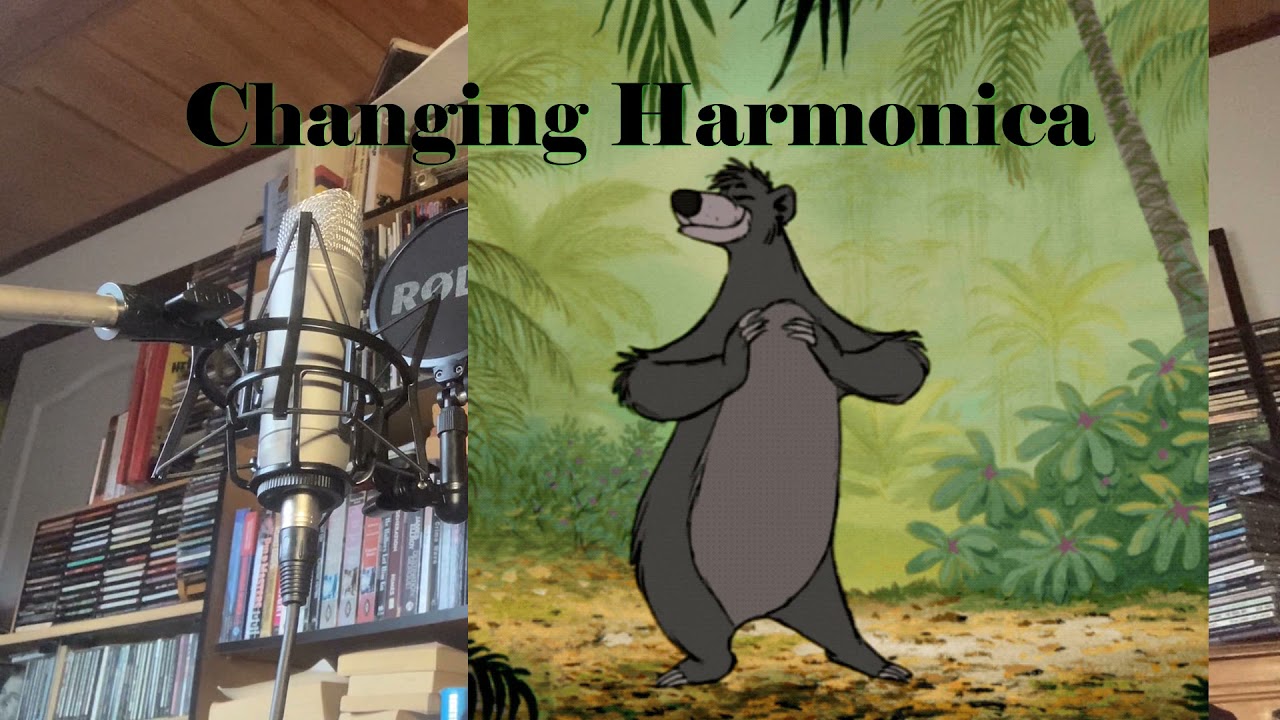 Bare Necessities (From Jungle Book)  - Steven Troch
