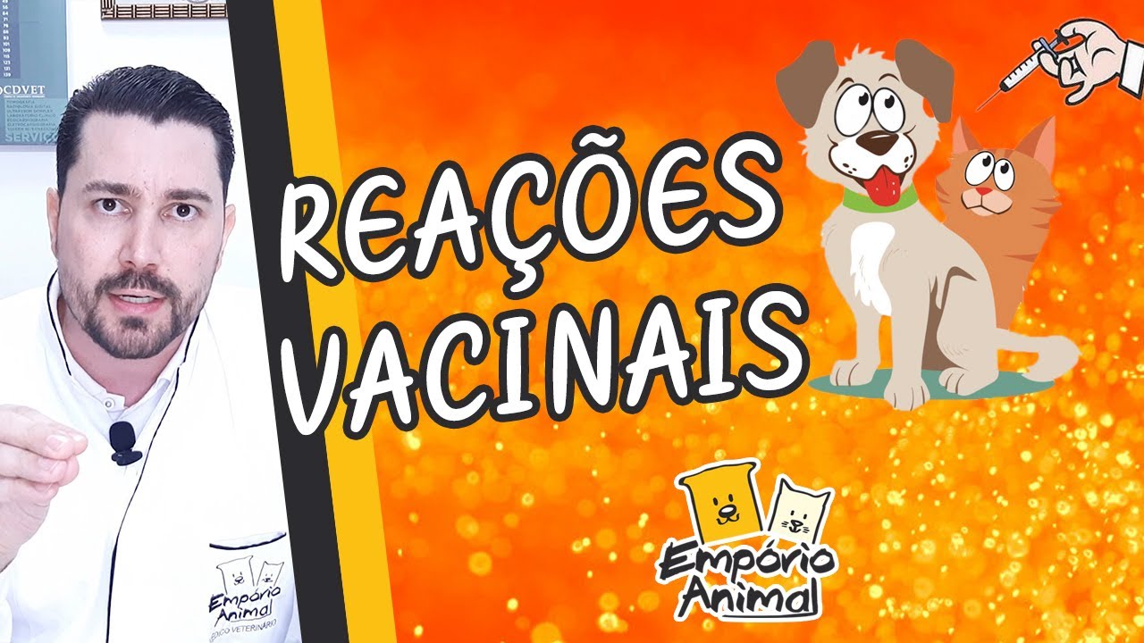 Reação após aplicação de vacina em cães e gatos - o que você precisa saber!