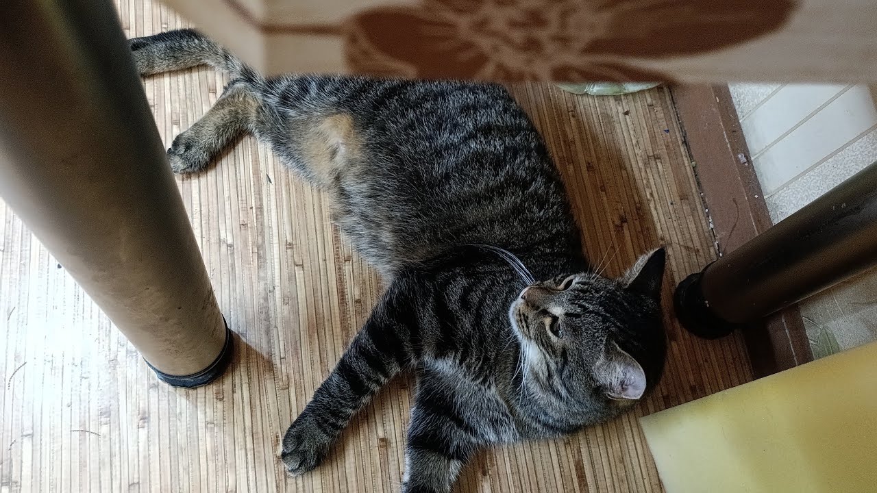 Так смешно получилось😁