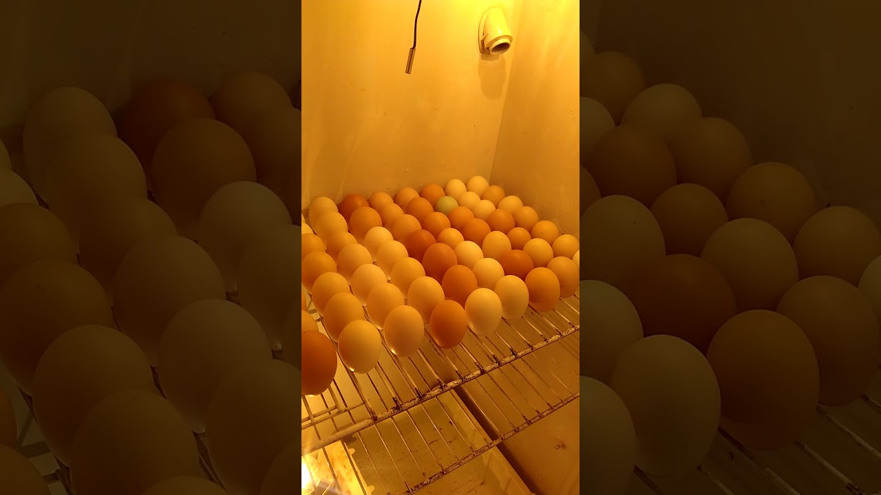 Chocadeira de geladeira