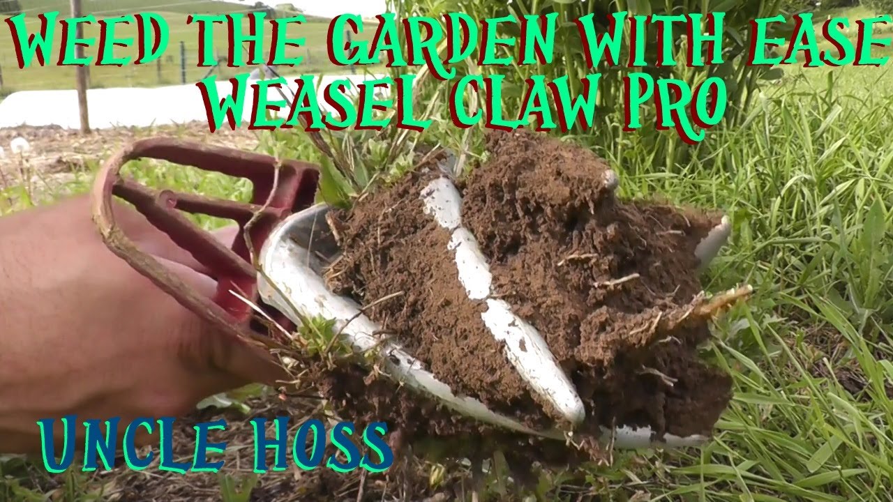HAVE I FOUND THE BEST GARDEN TOOL EVER?