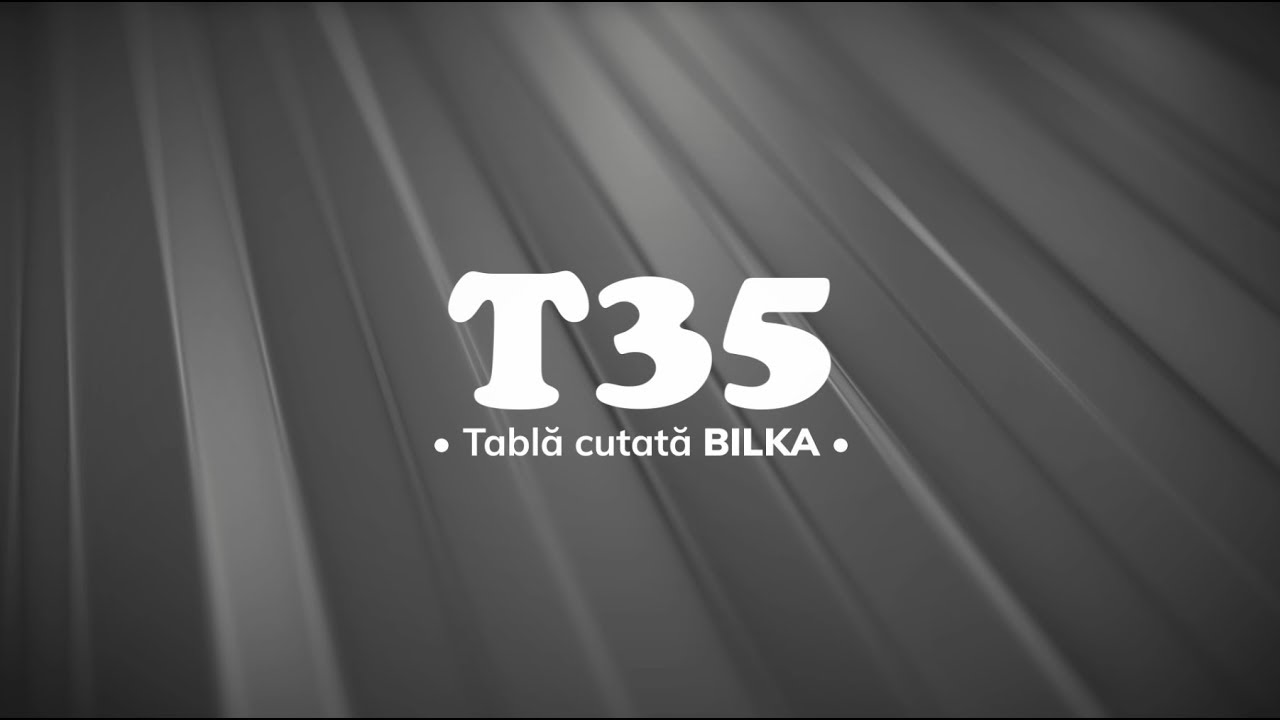 Tablă cutată BILKA T35