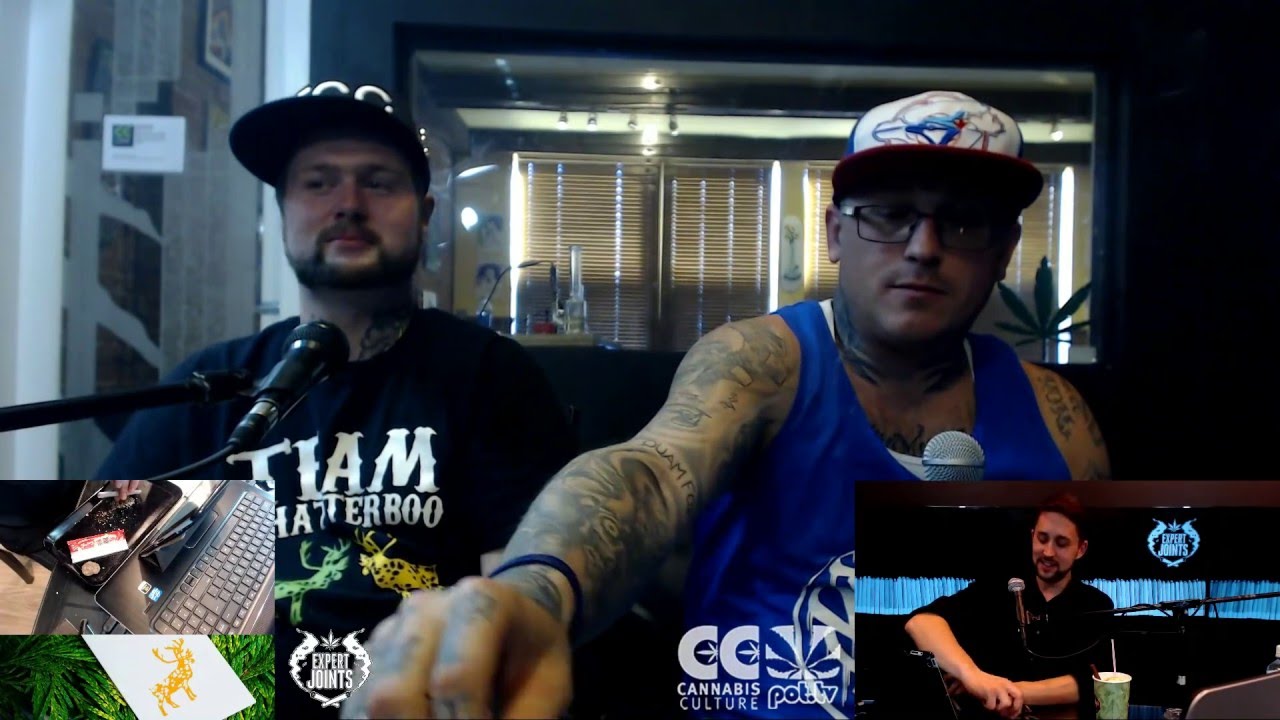 EXPERT JOINTS LIVE! - 