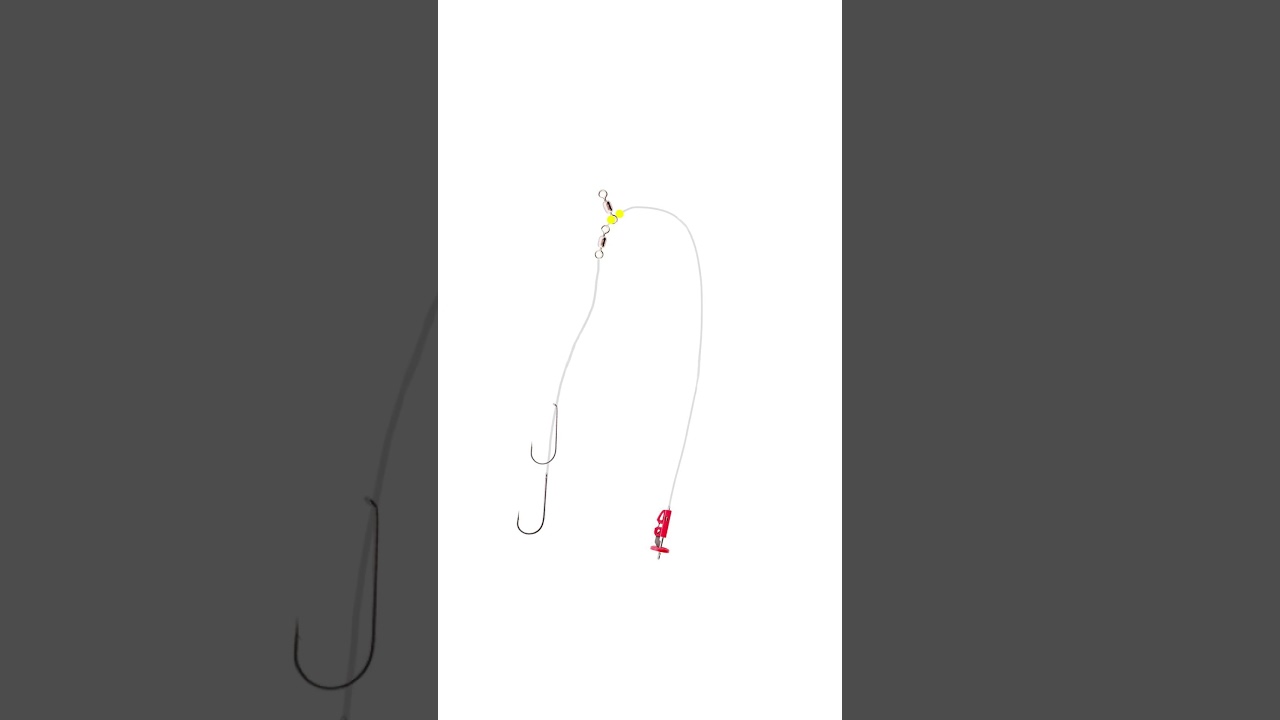 The Best Rigs And Tackle For Surf Beach Cod In The UK And Europe 