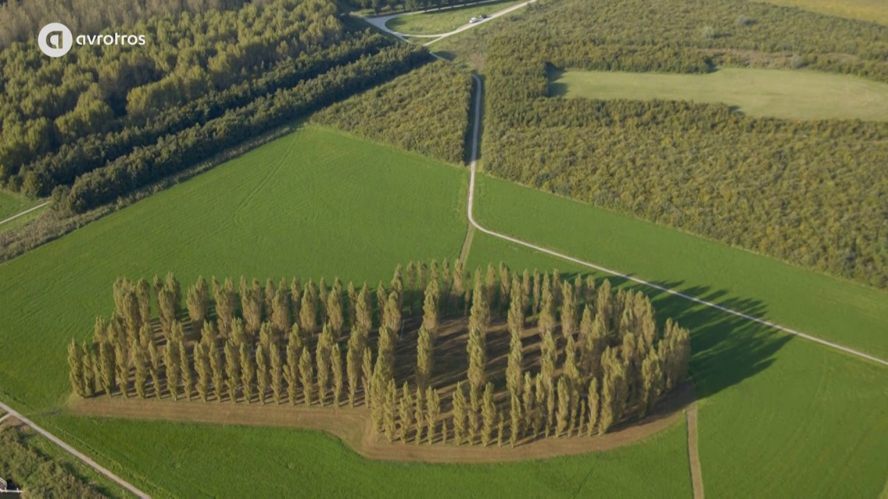 Man en Kunst #7 - Groene Kathedraal in Flevoland - Marinus Boezem