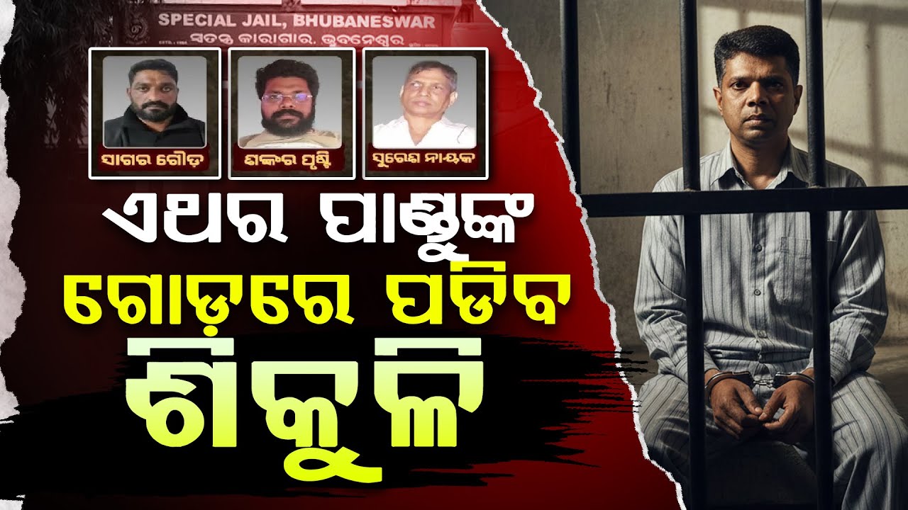 ପାଣ୍ଡୁଙ୍କ କଥାରେ ଏମାନେ ଖାଇଥିଲେ ହଜାରେ କୋଟି || SI SCAM || DAILY ODISHA NEWS || FOCUS PLUS