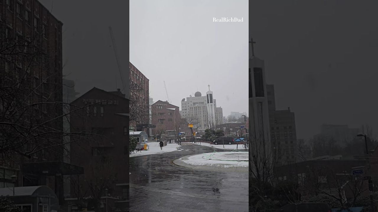 눈 내리는 덕수궁 돌담길을 조용히 걸어봄 A Quiet Snowy Walk at Deoksugung Stone Wall Road