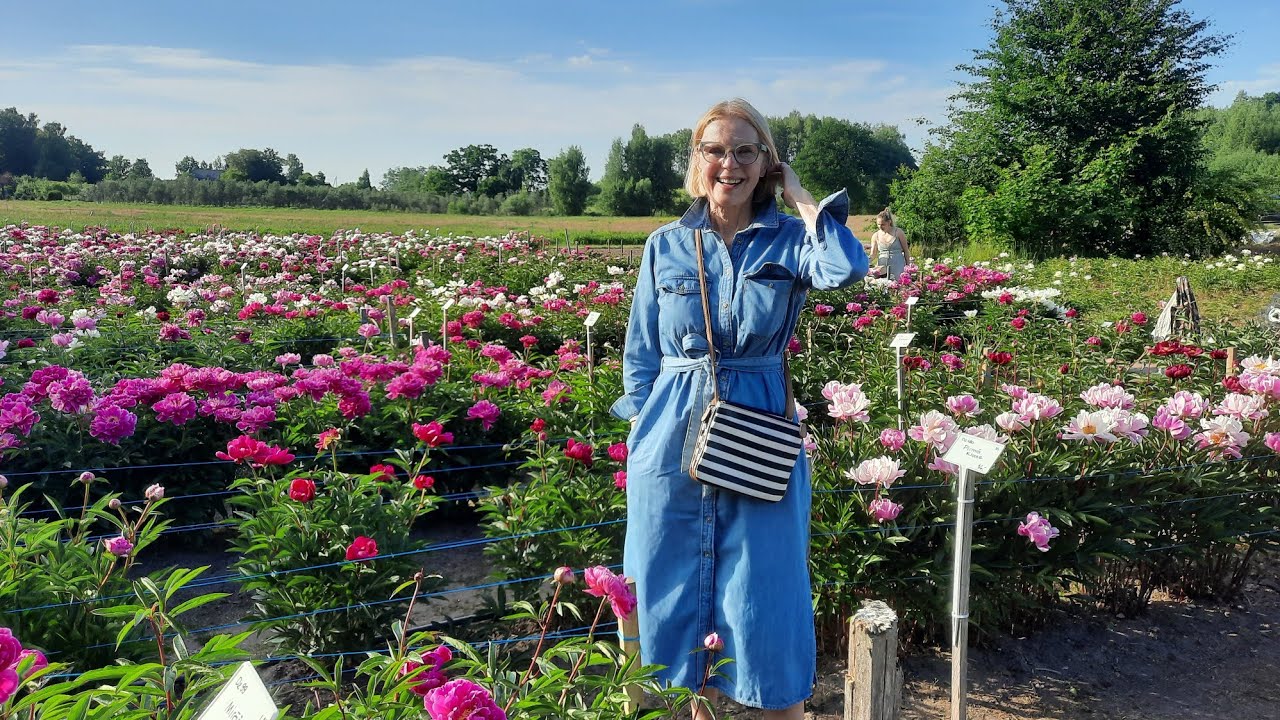 Пионовый рай в 20 км от Риги!..А запах!...🌺🌺🌺