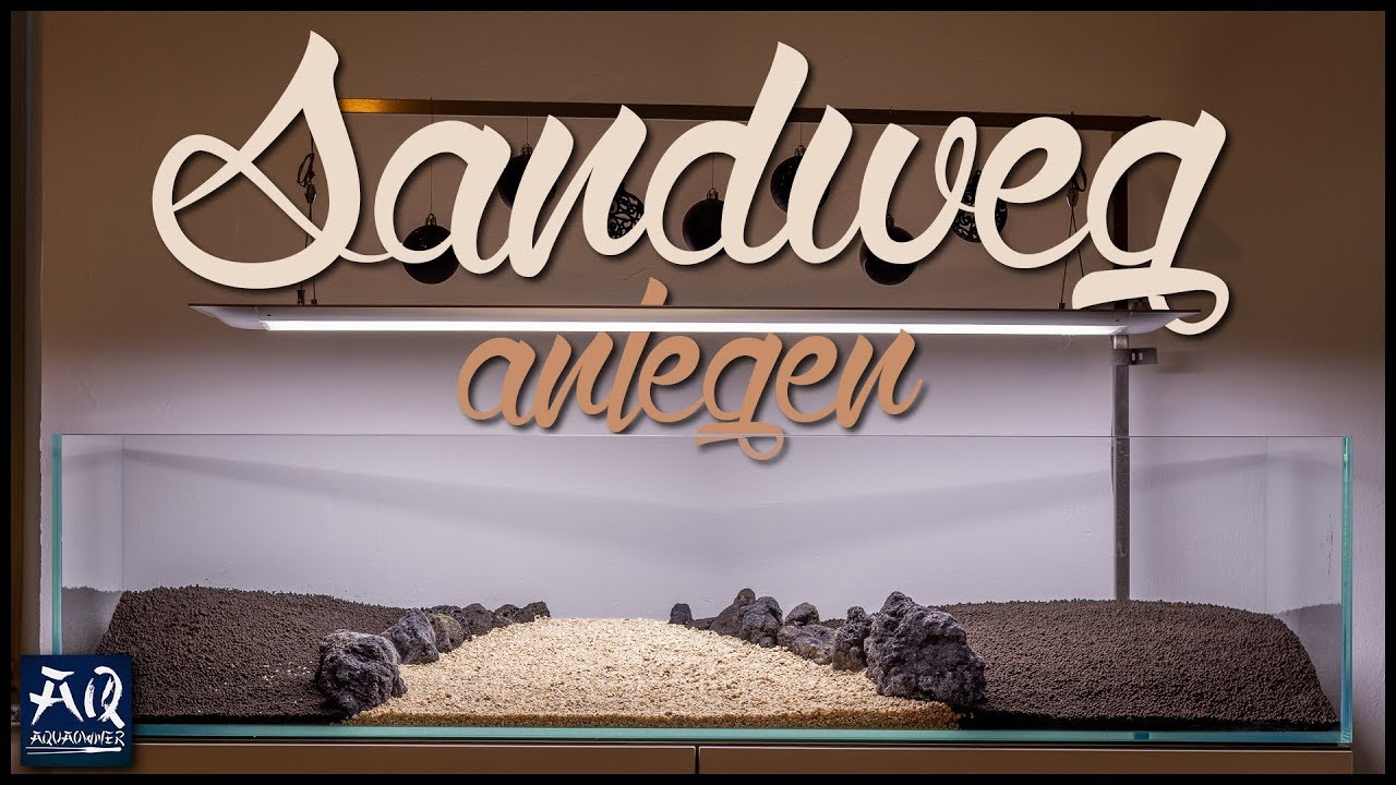 Sandweg im Aquarium anlegen | AquaOwner