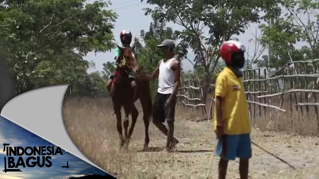 Indonesia Bagus - Kisah Kebanggaan dari Tanah Sumbawa