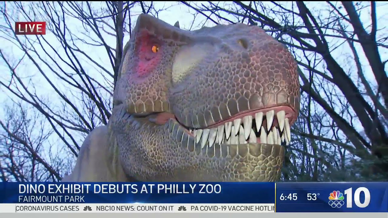 Roaring ‘Dinosaurs' Make ‘Big Time' Debut at Philadelphia Zoo | NBC10 Philadelphia
