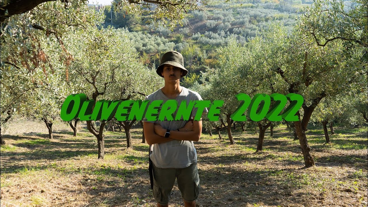 Olivenernte 2022 | Der Weg zum Olivenöl | Matteo Roth