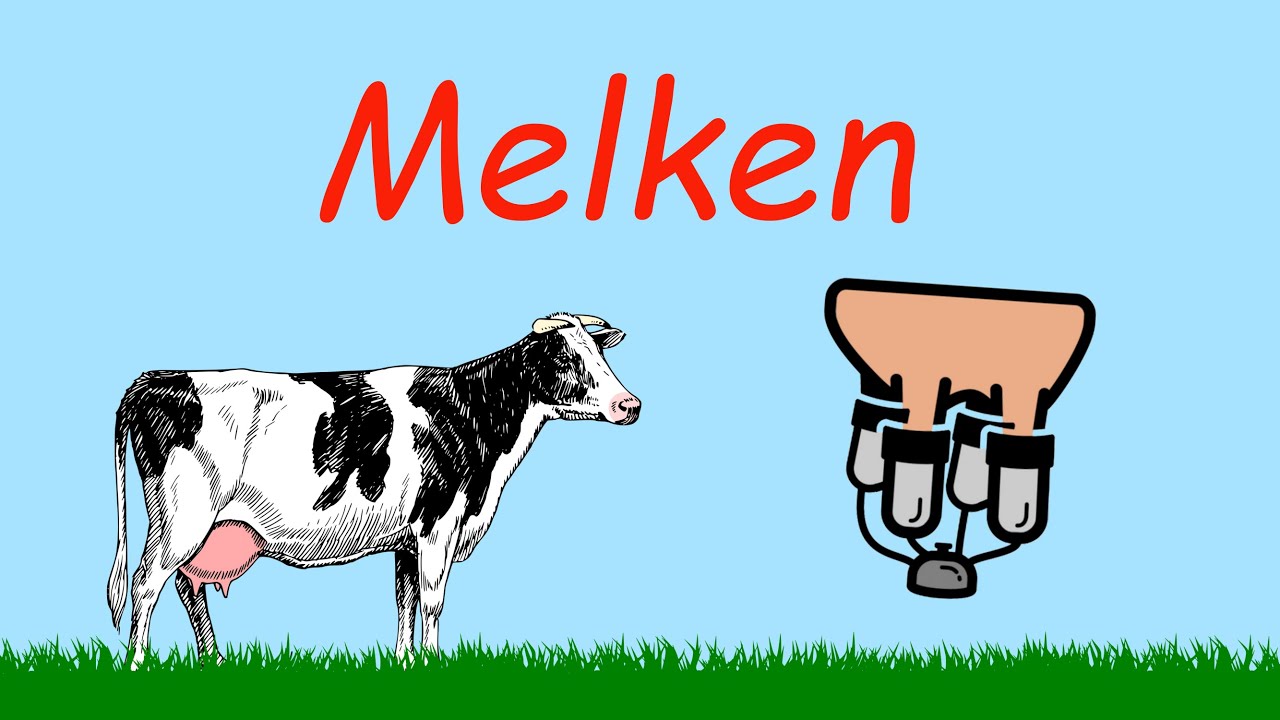Melken | Audio | Kuhles zum Kauen