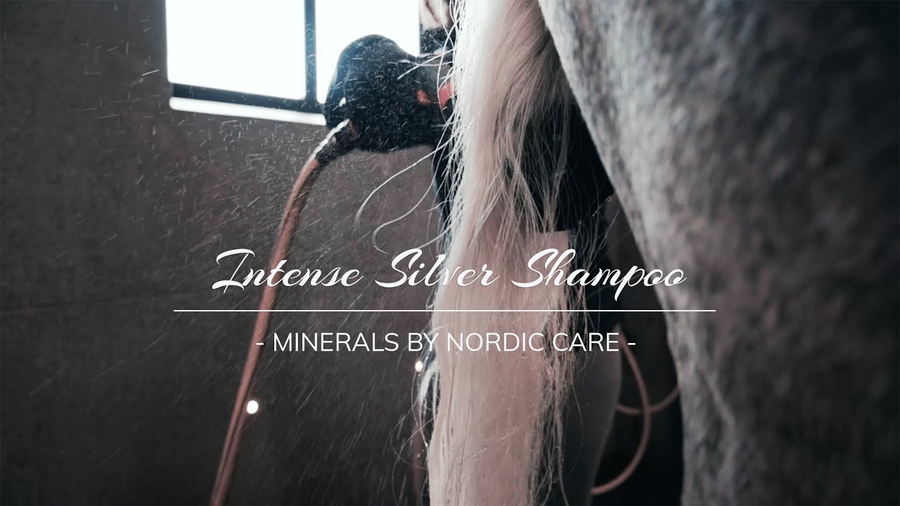 Intense Silver Shampoo - Minerals by Nordic Care