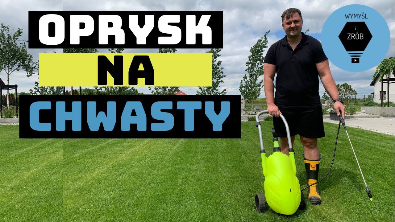 Jak usunąć chwasty z trawnika - oprysk