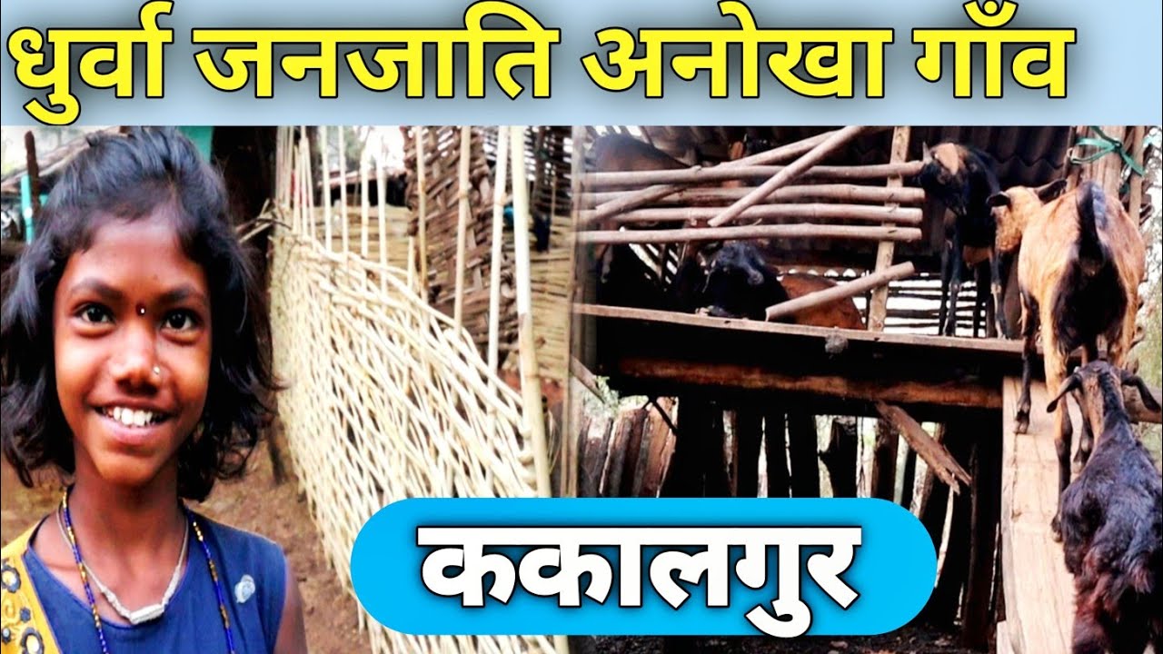 धुर्वा जनजाति जीवन शैली अनोखा आदिवासी गाँव  Tribal Village Bastar  Chhattisgarh India