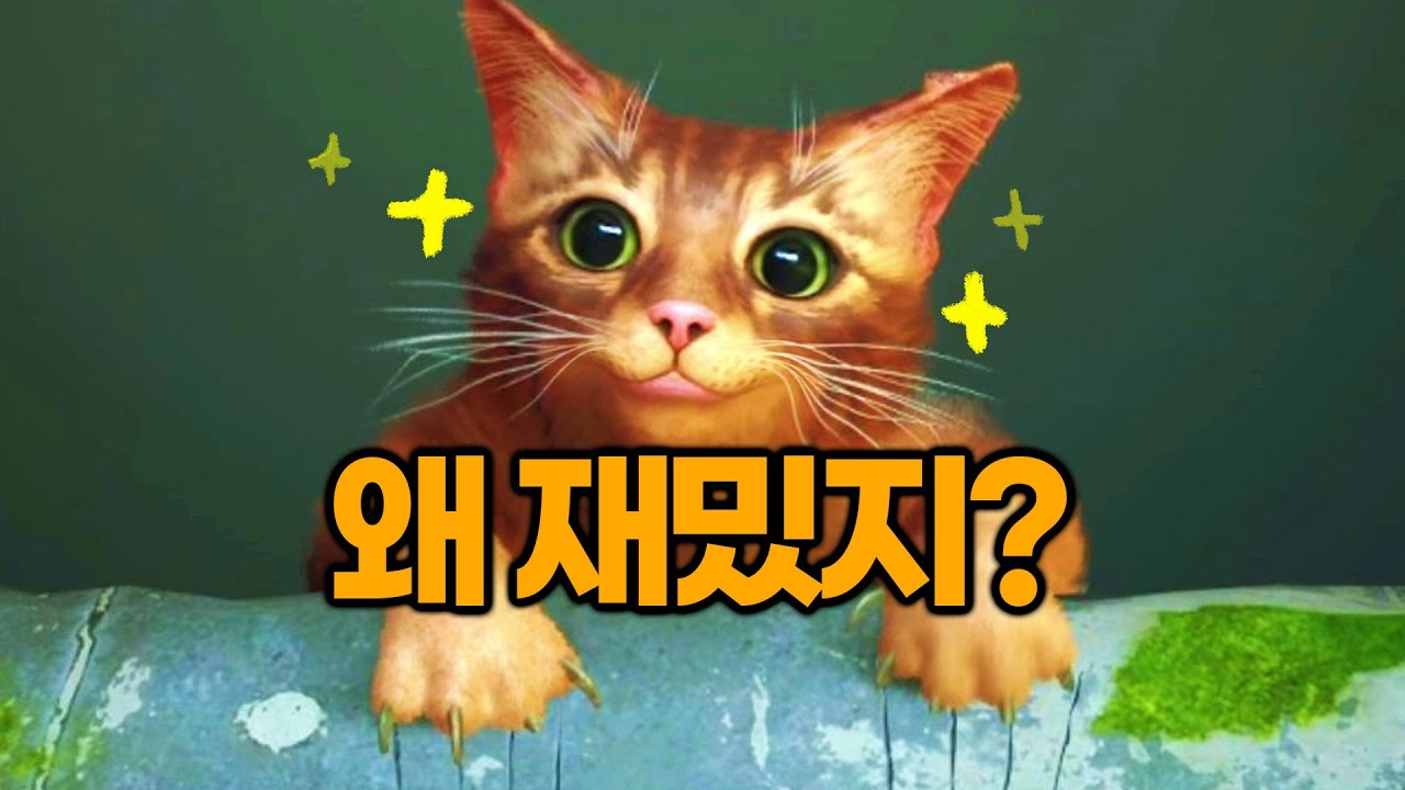 ※갓겜※ 고양이 시뮬레이터 너무 재밌어서 하루종일함;