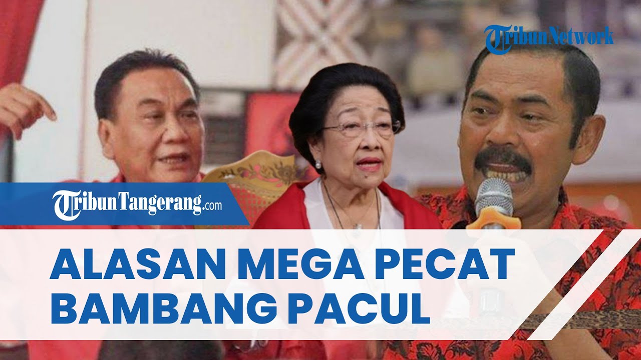 TERKUAK Alasan Megawati Pecat Bambang Pacul sebagai Ketua DPD PDIP Jateng dan Digantikan FX Rudy