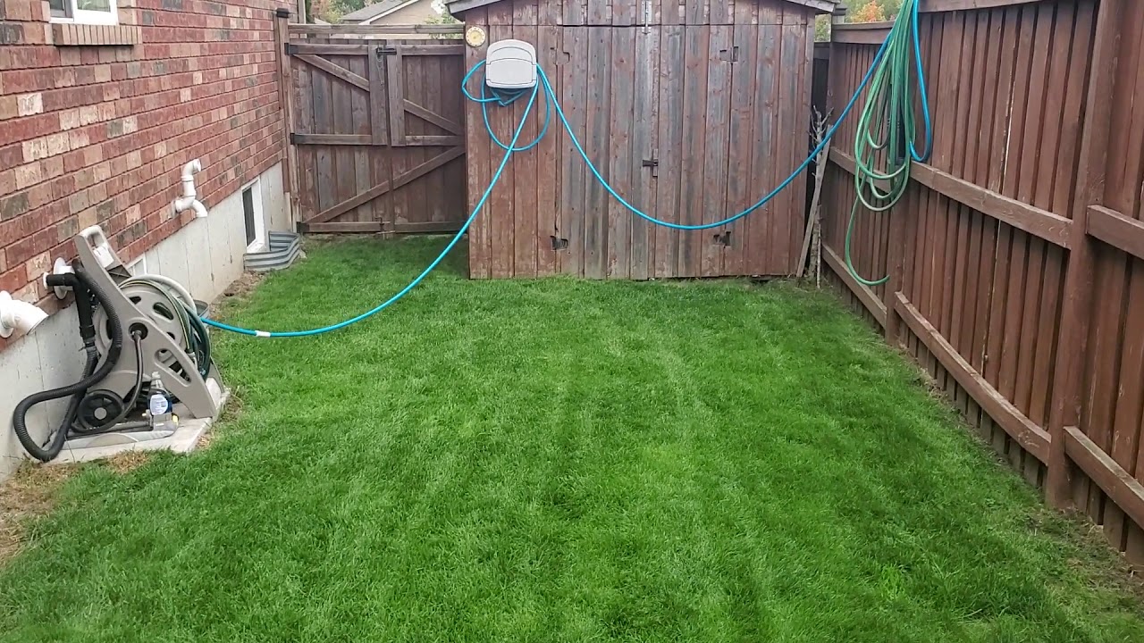 Lawn Domination