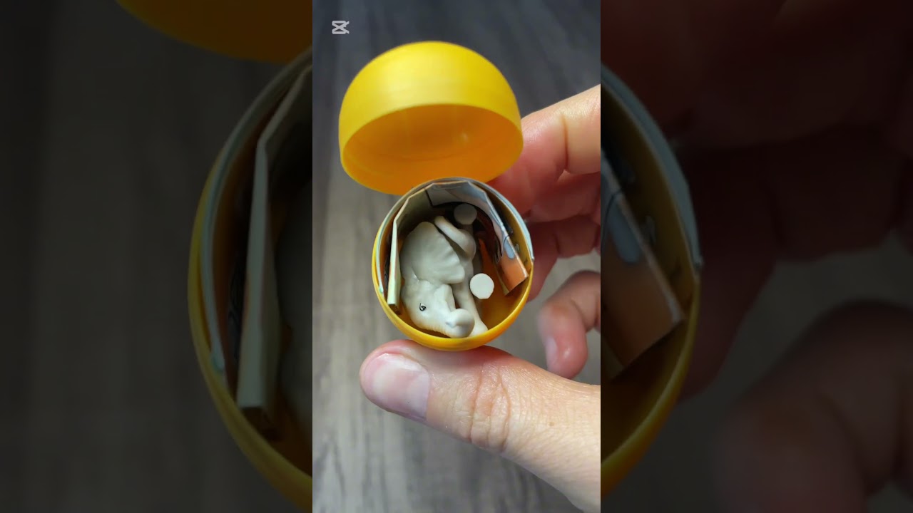 Kinder Natoons 😍🤩😍🍫#asmrvideo #chocolate #kindersurprise #natoons #sweet #unpackingsweet #fy