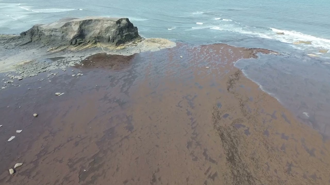 Saltwick Bay near Whitby by drone