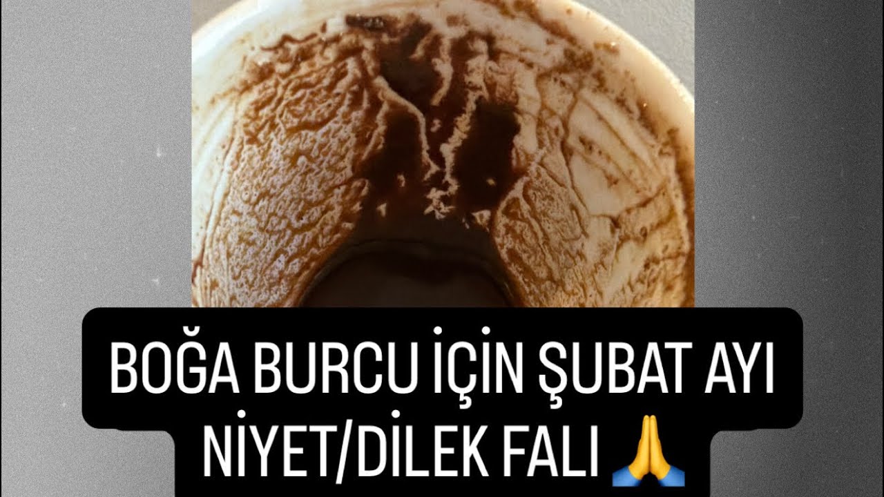 BOĞA BURCU İÇİN ŞUBAT AYINA ÖZEL NİYET/DİLEK FALI 🙏#boğaburcu #kahvefalı #tarot #fal #şubat 