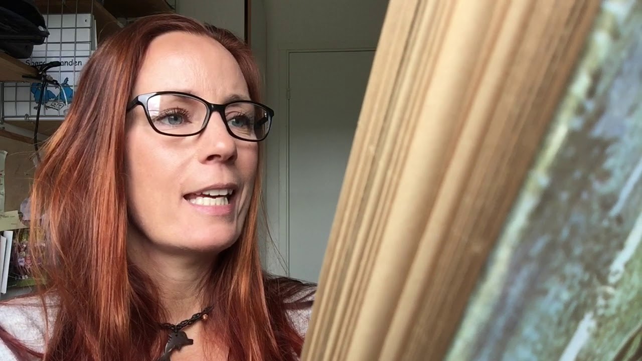 Ronja R&oslash;verdatter kap. 5