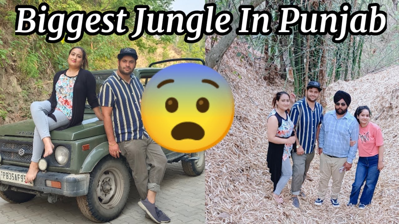 Jungle Safari Thana Dam 😱😱 | kukanet | Hoshiarpur | Unexplored Punjab