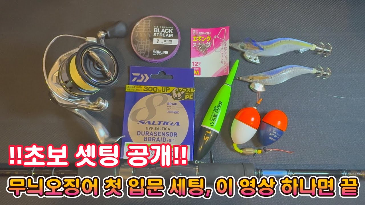 [무늬오징어낚시 입문] 초보를 위한 장비 세팅 완전 정리!