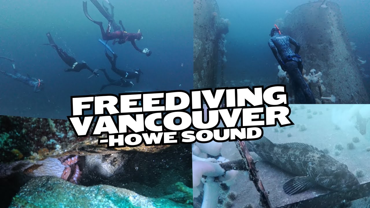 PNW Expeditions Howe Sound freediving adventure