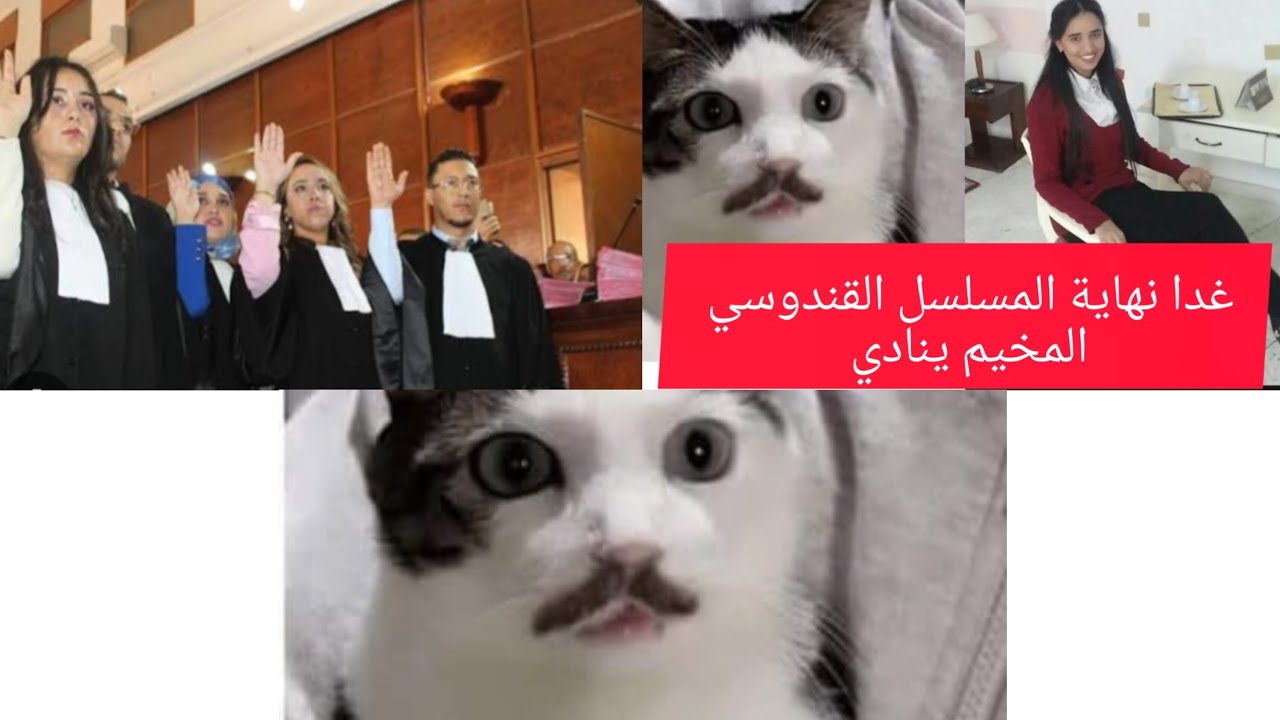 غدا سوف يحسم الأمر (دعواتكم)
