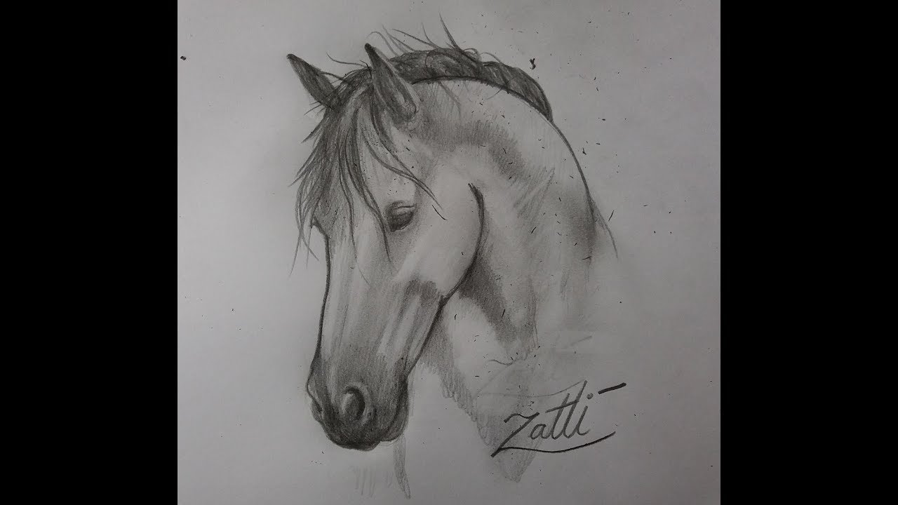 Desenhando um cavalo