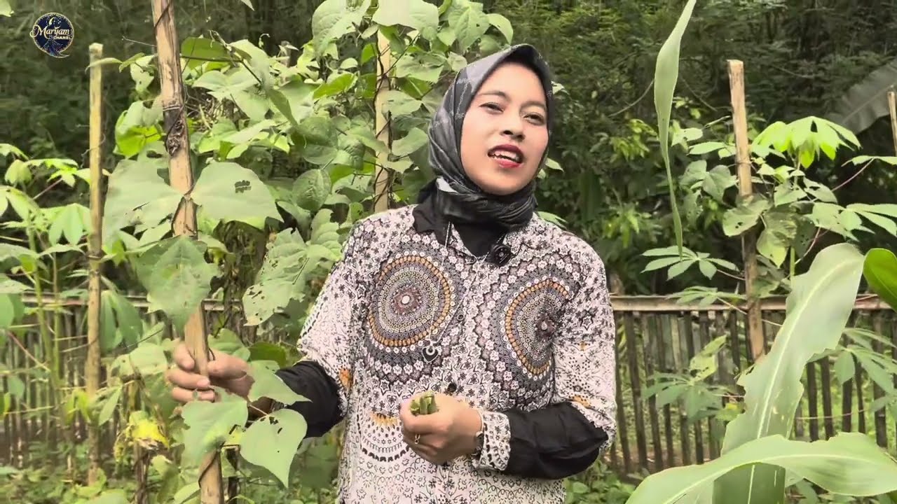 Kisah Mertua dan menantu - film pendek kehidupan