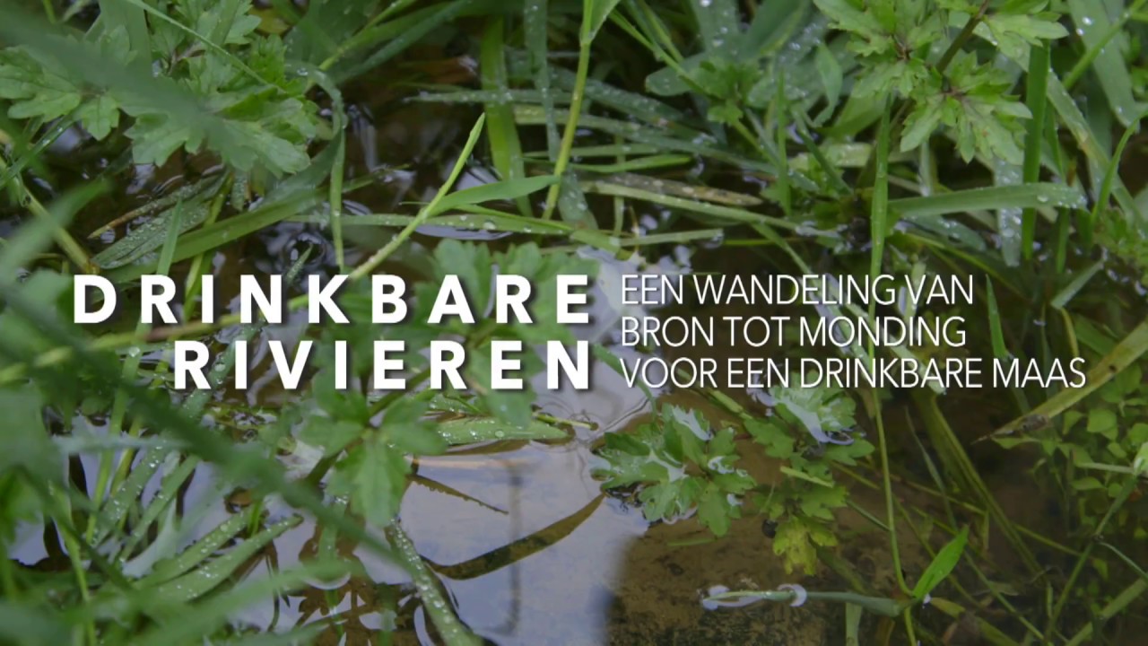 Li An Phoa: Drinkable Rivers film impression