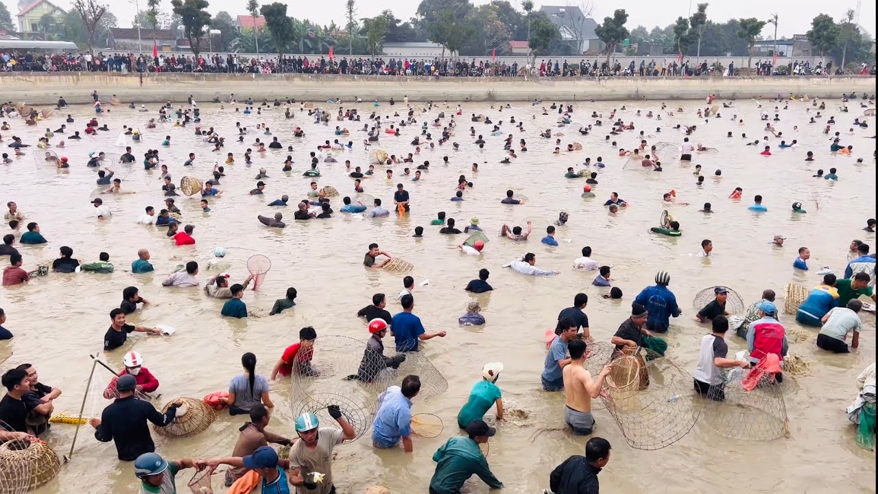 Có Một Không Hai Lễ Hội Bắt Cá Thu Hút Hàng Nghìn Người Tham Gia Giật Giải / Minh Mộc